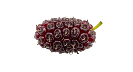 Vibrant Red Mulberry Fruit on Dark Background with Green Stem