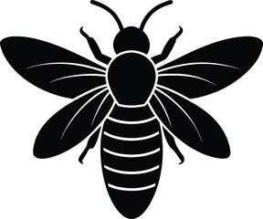 Black and white vector illustration of a butterfly and beetle with a floral design and leaf decoration