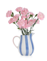 Beautiful carnation flowers in jug on white background
