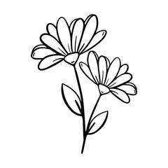 Minimalist Blooming Flower Art Deco