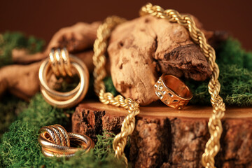 Beautiful gold jewelry on wood with moss against brown background, closeup
