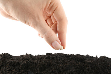 Woman putting bean into pile of fresh soil on white background, closeup