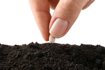 Woman putting bean into pile of fresh soil on white background, closeup
