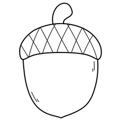 acorn outline © YQvibe Studio