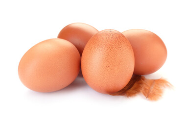 Raw chicken eggs and feathers isolated on white