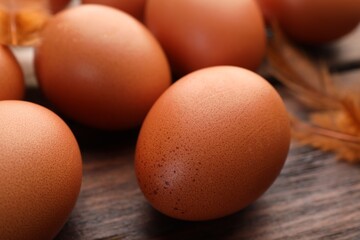 Raw chicken eggs and feathers on wooden table, closeup