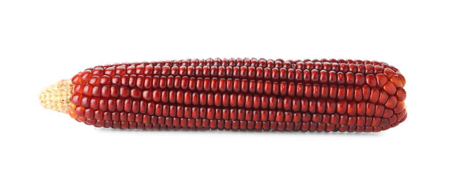 One ripe red corn cob isolated on white