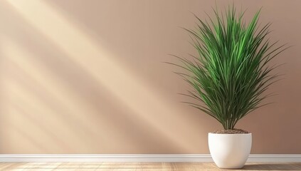 Potted grass shines, light streaming in