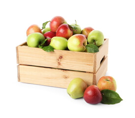 Fresh ripe apples in wooden crate isolated on white