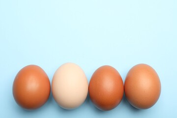 Fresh chicken eggs on light blue background, top view. Space for text