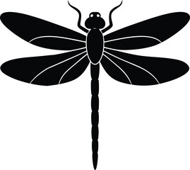 A beautiful dragonfly insect with delicate wings is captured in a macro close-up, showcasing its green body against white