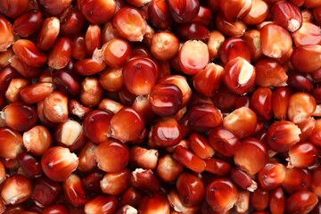 Ripe red corn kernels as background, top view