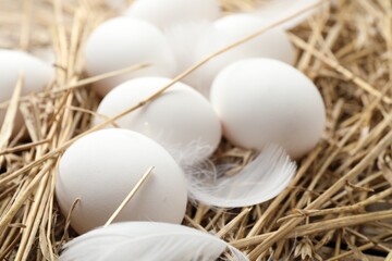 Raw chicken eggs, feathers and straw on table, closeup
