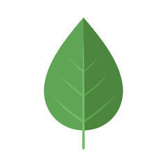 Fresh green leaf illustration for natural designs and eco-friendly projects needing a simple organic element