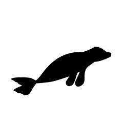 Obraz premium illustration of a seal