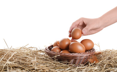 Woman putting raw chicken egg into wicker basket with brown ones, feather and straw against white background, closeup. Space for text