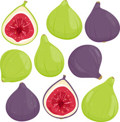 Figs, sweet fresh edible fruit of the fig tree. Set of ripe green and purple fig fruits whole and in section cut in half. Beautiful and tasty set of juicy figs. Vector illustration set