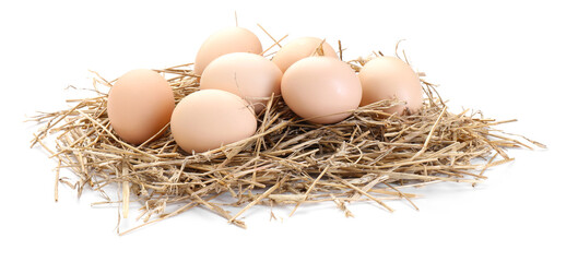 Chicken eggs in nest isolated on white
