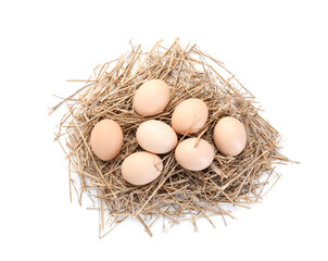 Chicken eggs in nest isolated on white, top view