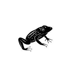 black toad