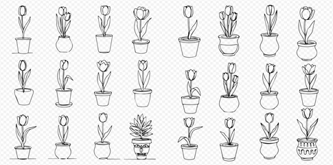 A collection of hand-drawn black and white illustrations featuring various potted plants, including tulips and a succulent, in different styles of pots.