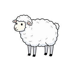 Sheep