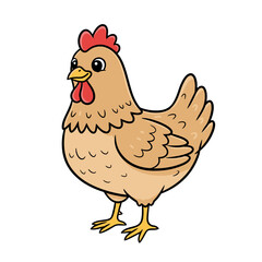 Chicken