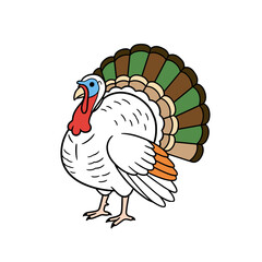 Turkey Design
