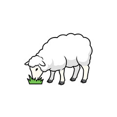 Sheep eating