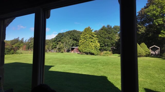 Looking out window to large green lawn garden with shed and trees