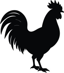 Vector silhouette illustration of a rooster or cockerel farm bird isolated on a white background