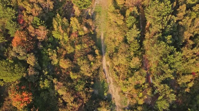 Slow upward drone shot over Sheffield Ski Village shows a forested slope with autumn foliage, dirt trails, and uneven terrain, revealing the site&rsquo;s layered structure and natural regrowth