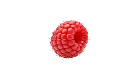 Vibrant Single Raspberry with Abstract Digital Glitch Lines on Black