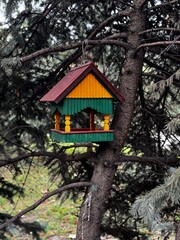 wooden bird feeder on a tree