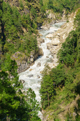Rushing river flows through a lush green mountain valley