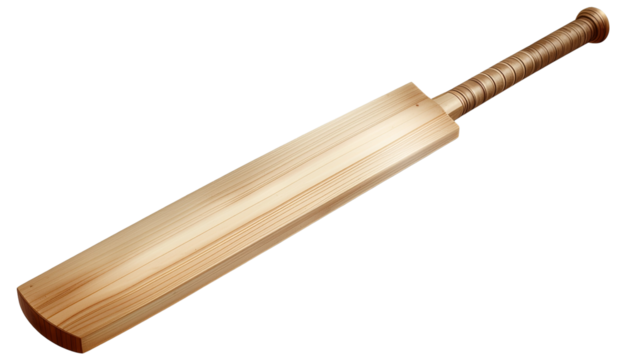 Shiny New Cricket Bat with Wooden Blade and Grip Handle