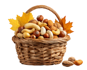 Wicker basket of mixed nut variety for bountiful autumn harvest. Healthy food assortment with fall leaf decoration conveys feeling of warmth and abundance