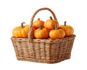 Cozy wicker basket full of ripe orange pumpkin represent fall harvest. rustic food decoration for autumn, Thanksgiving or Halloween, isolated on background