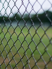 Fototapeta premium Close-Up of Chain Link Fence with Shallow Depth of Field - Metal Wire Mesh Barrier with Blurred Green Background