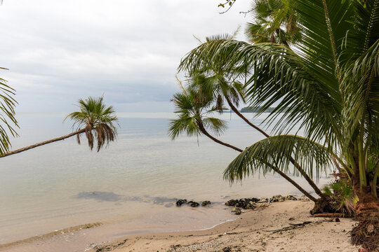Beautiful palm trees and white sand beach at playa blanca in livingston guatemala