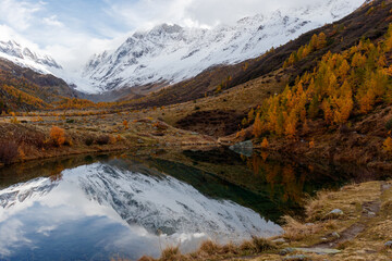 Autumn mountain larch forest reflected in lake grundsee in loetschental switzerland