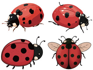 Obraz premium Four cartoon-style ladybugs of different postures display vibrant red bodies with distinct black spots. They showcase the charm of nature with their lively appearance.