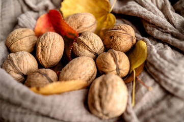 Group of walnuts resting on soft fabric decorated with autumn leaves.