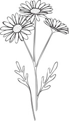 Simple flower line drawing, white background, nature illustration, design element.