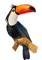 Green Blue Watercolor Tropical Animal Toucan Bird Jungle