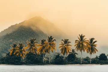 Tropical beach scene with palm trees and misty mountains