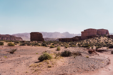 Iconic red rock formations in Talampaya desert landscape, Argentina