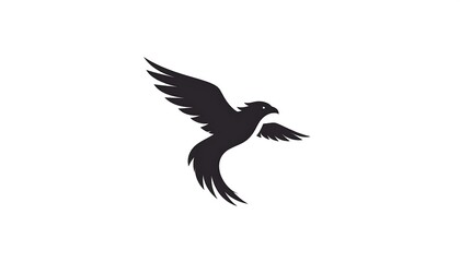 Fototapeta premium Silhouette of a bird in flight