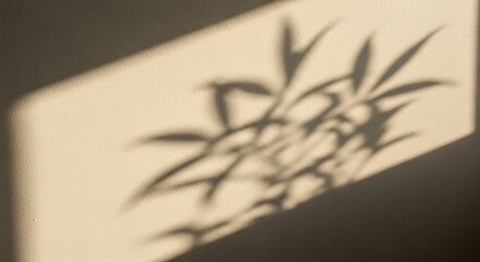 open book on a black background