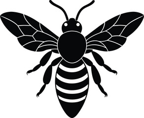 Vector illustration of a cute cartoon bee, wasp, and black wasp with big funny wings flying like happy insects